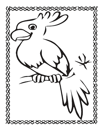 Parrot Png Free Picture Parot