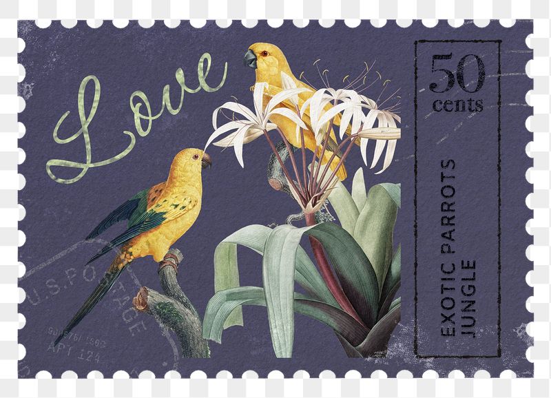 Parrot png post stamp, ephemera | Free PNG - rawpixel