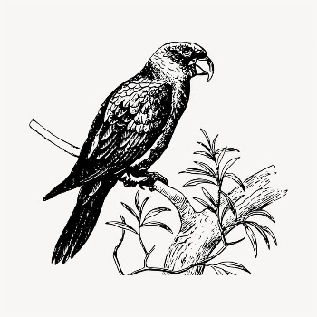 Parrot psittacine illustration clipart vector. | Free Vector - rawpixel
