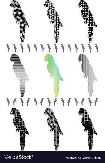 Parrot Silhouette Set vector image