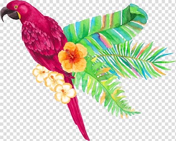 Parrot Tropics Arecaceae, Rose parrot transparent background PNG clipart