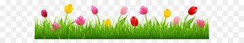 Parrot Tulips Flower Clip art - Grass with Colorful Tulips PNG Clipart 