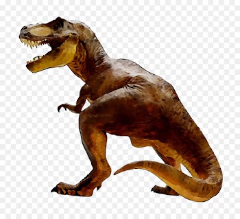 Parrot Tyrannosaurus Bird Triceratops Dinosaur -  