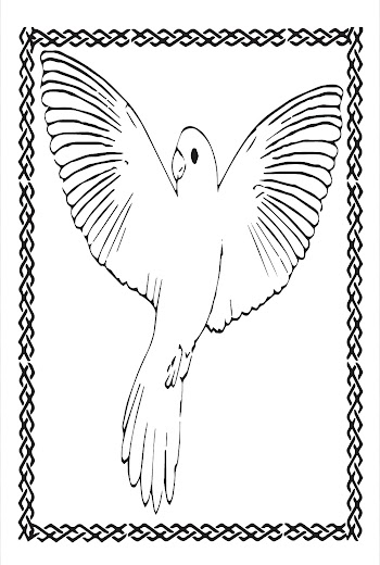 Parrot Vector free picture