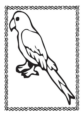 Parrot Vector free picture