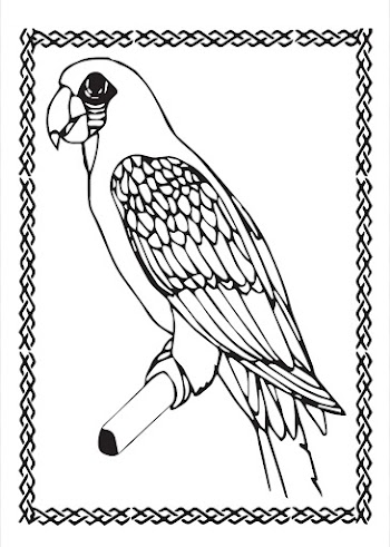 Parrot Vector free picture