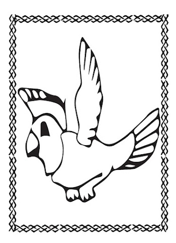 Parrot Vector free picture