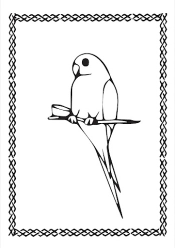 Parrot Vector free picture