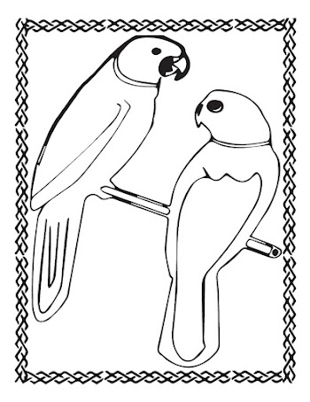 Parrot Vector free picture