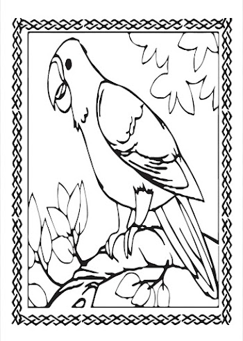 Parrot Vector free picture