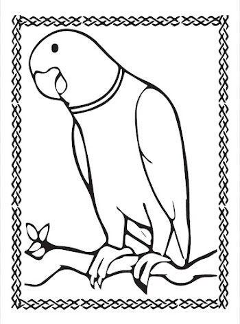 Parrot Vector free picture