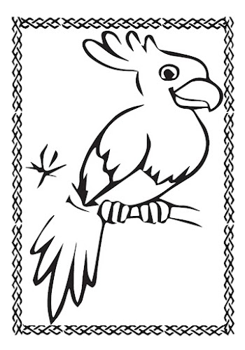 Parrot Vector free picture