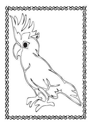 Parrot Vector free picture