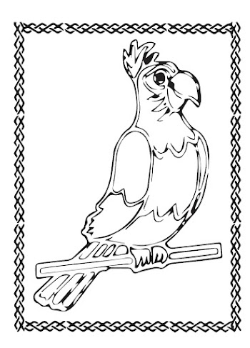 Parrot Vector free picture