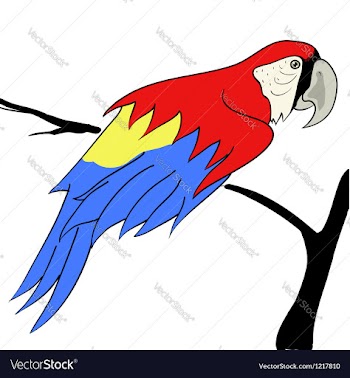 Parrot vector image