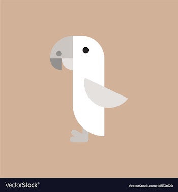 Parrot vector image