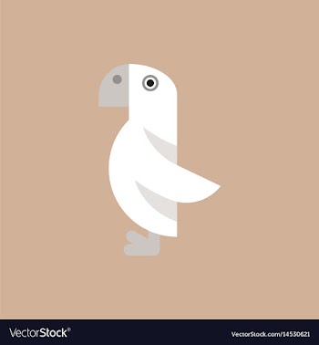Parrot vector image