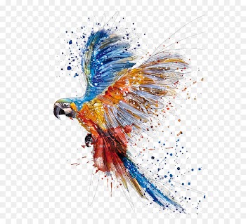 Parrot Watercolor painting Bird Drawing - parrot 