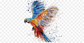 Parrot Watercolor painting Drawing Art - Watercolor dancing parrot 