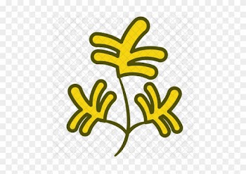 Parsley Icon - Food