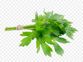 Parsley Lovage Coriander Salsa verde Spice -  
