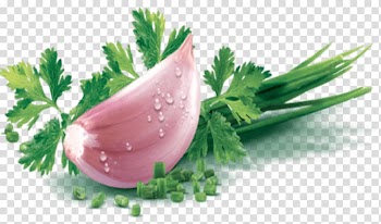 Parsley Steak tartare Chives Fines herbes Garlic, fine herbs transparent background PNG clipart