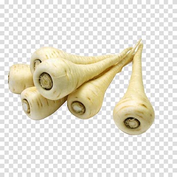 Parsnip Root Vegetables Fruit, vegetable transparent background PNG clipart