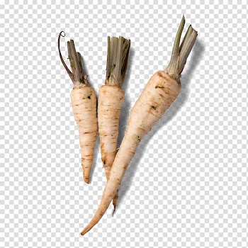 Parsnip Vegetable Radish, Vegetables radish transparent background PNG clipart