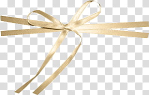 PART Element Frames Text, brown ribbon transparent background PNG clipart