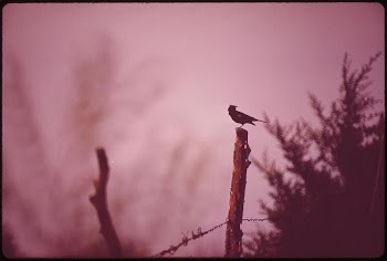 Part of rural Nebraska's varied | Free Photo - rawpixel