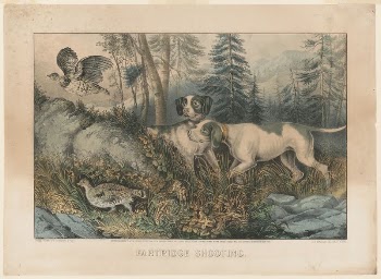 Partridge shooting (1870) by Currier | Free Photo - rawpixel