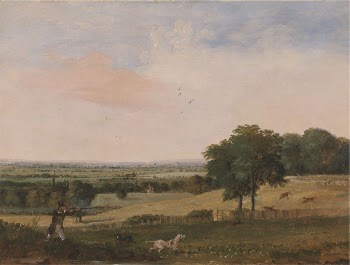 Partridge Shooting | Free Photo - rawpixel