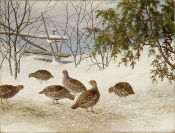 Partridges in snow, 1895, by Ferdinand | Free Photo - rawpixel