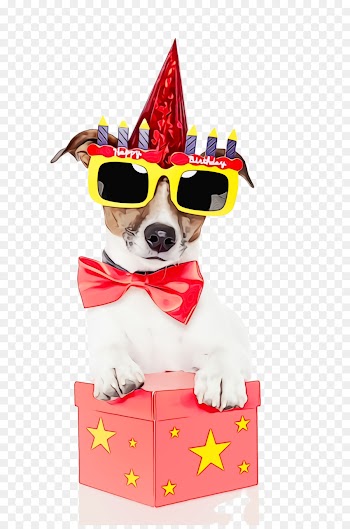 Party hat