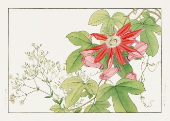 Passion flower woodblock painting by Tanigami | Free Photo Illustration - rawpixel