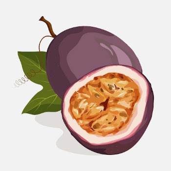 Passion fruit clipart, realistic illustration | Free Photo Illustration - rawpixel