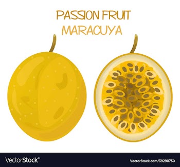 passion fruit icon design