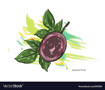 Passion fruit with colorful splashes vector image