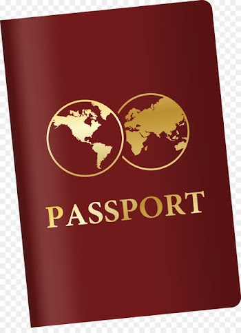 Passport Euclidean vector - Vector passport 