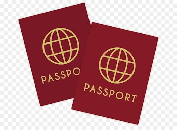 Passport Travel visa Euclidean vector Identity document - Vector visa 