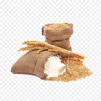 Pasta Common wheat Spelt Durum Flour - wheat 