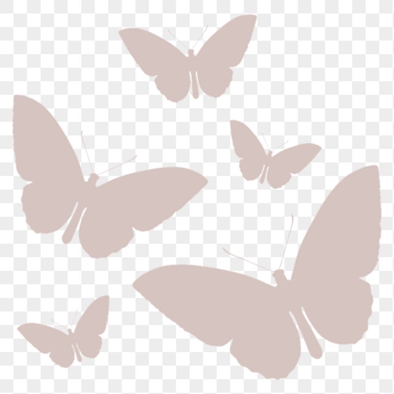 Pastel butterflies png sticker, aesthetic | Free PNG - rawpixel