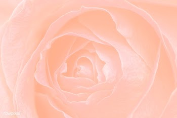 Pastel orange floral patterned background | Free  illustration - 2356752