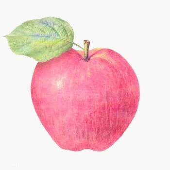 Pastel pink apple illustration design element  | Free  transparent png - 2337163