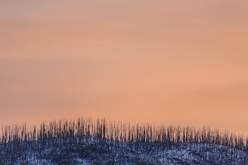 Pastel Sunrise over Howe Ridge. | Free Photo - rawpixel