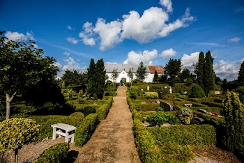 Path Between Green Plants 