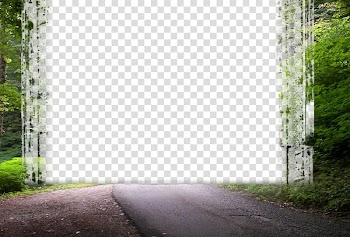 Path between trees, Window Frames Wedding, shop transparent background PNG clipart