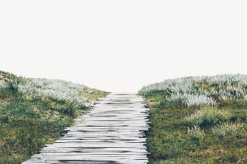 Path toward beach border collage | Free PSD - rawpixel