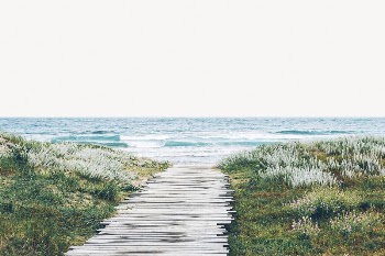 Path toward beach border collage | Free PSD - rawpixel