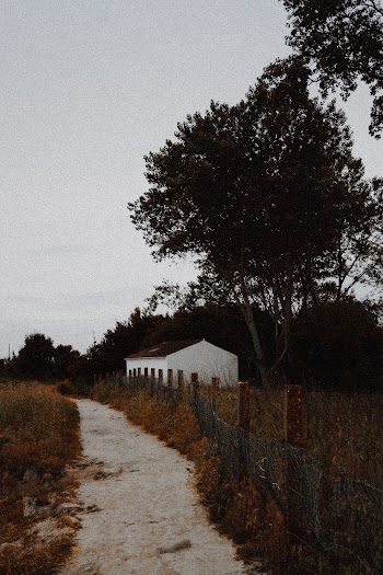 Pathway Along A Building